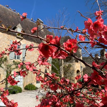 Bed and Breakfast La Tour De Cause Castelnaud La Chapelle Zewnętrze zdjęcie