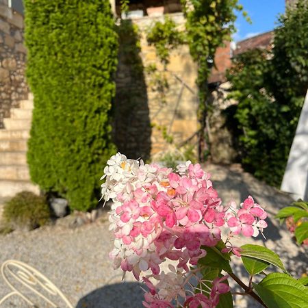 Bed and Breakfast La Tour De Cause Castelnaud La Chapelle Zewnętrze zdjęcie