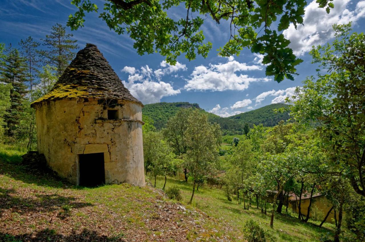 Bed and Breakfast La Tour De Cause Castelnaud La Chapelle Zewnętrze zdjęcie