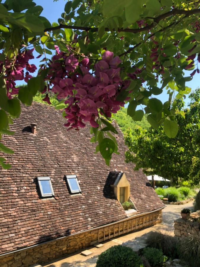 Bed and Breakfast La Tour De Cause Castelnaud La Chapelle Zewnętrze zdjęcie