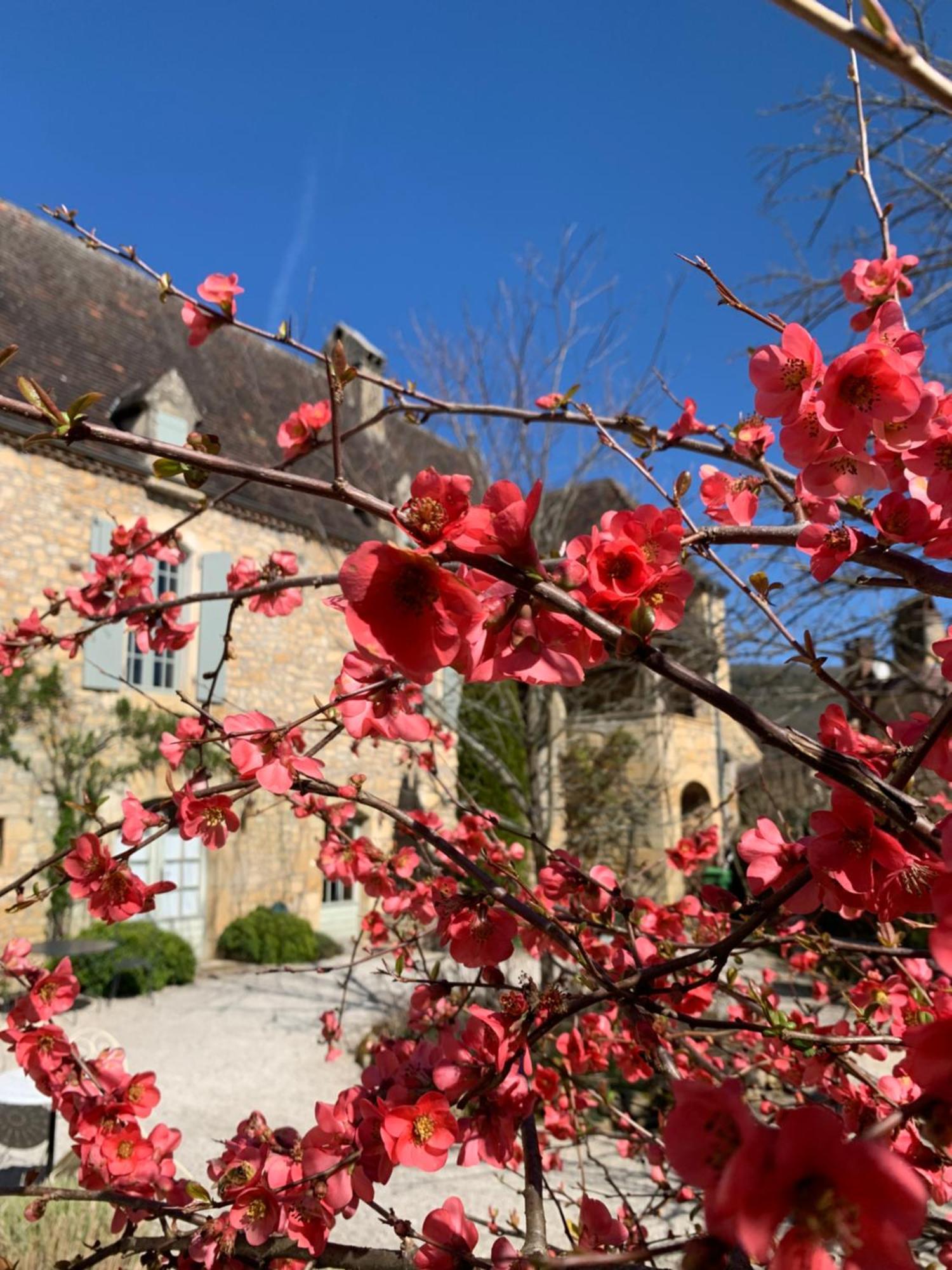 Bed and Breakfast La Tour De Cause Castelnaud La Chapelle Zewnętrze zdjęcie