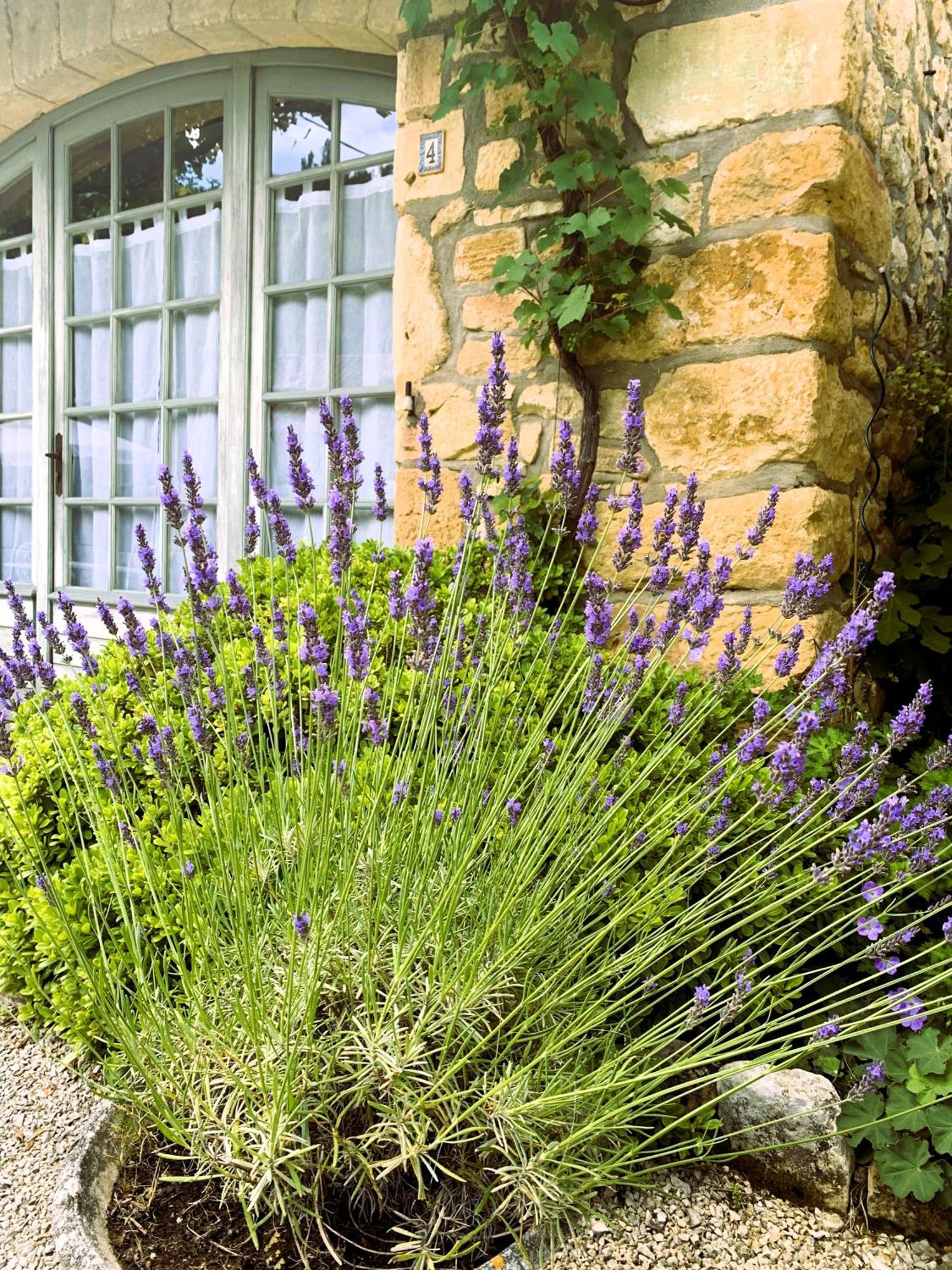 Bed and Breakfast La Tour De Cause Castelnaud La Chapelle Zewnętrze zdjęcie