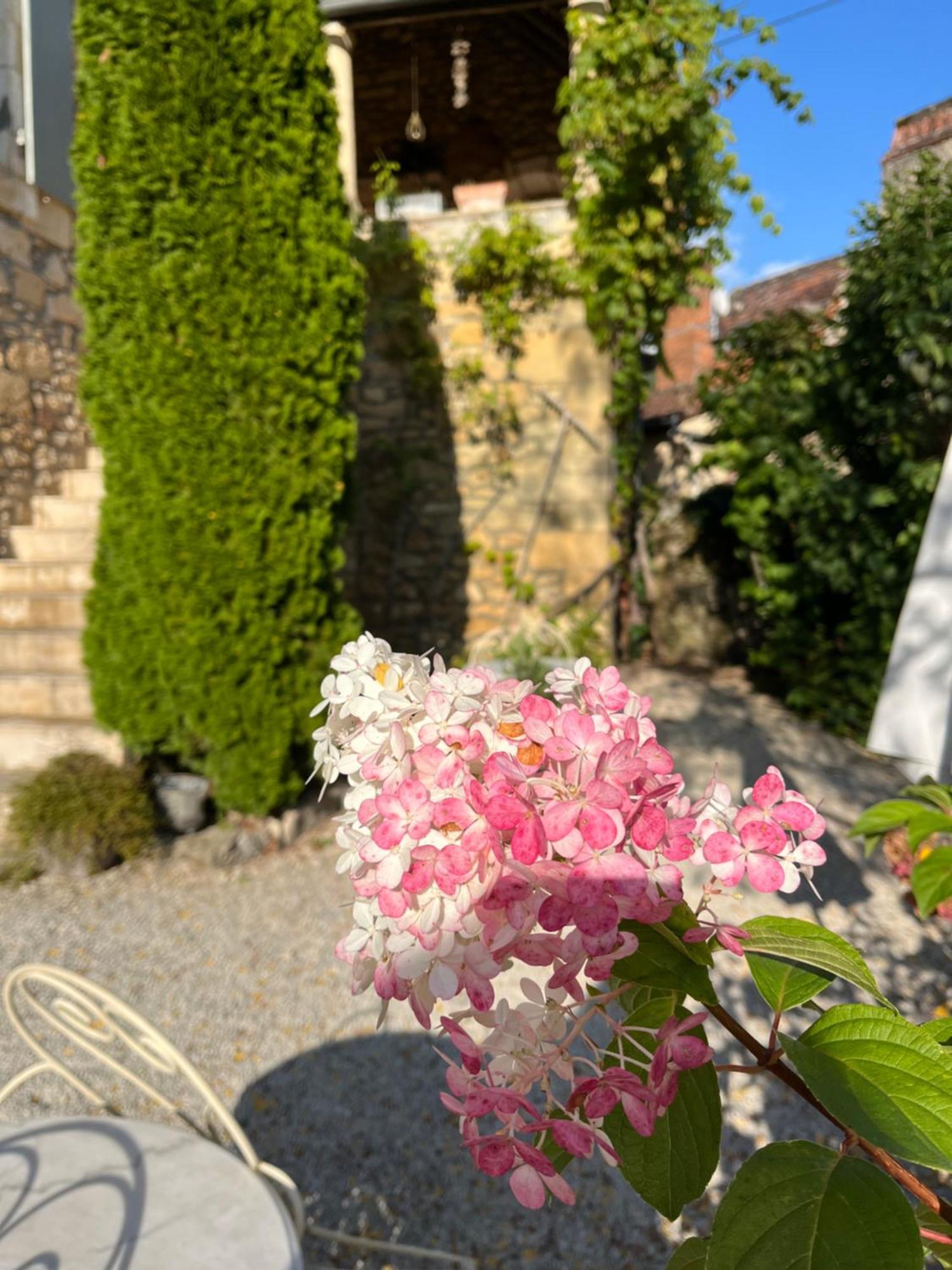 Bed and Breakfast La Tour De Cause Castelnaud La Chapelle Zewnętrze zdjęcie